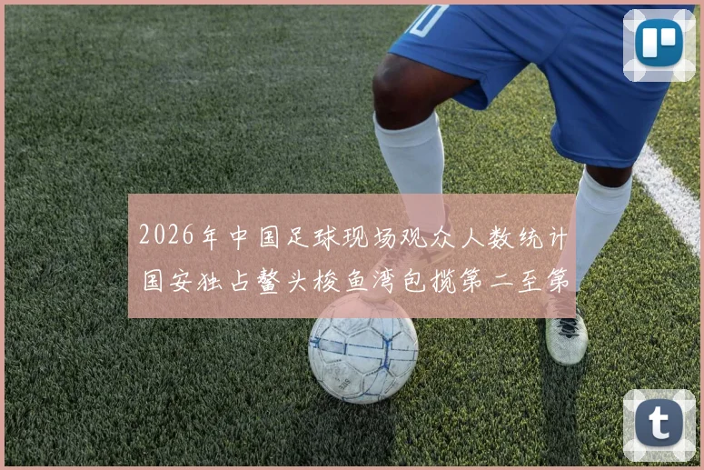 2026年中国足球现场观众人数统计国安独占鳌头梭鱼湾包揽第二至第七位