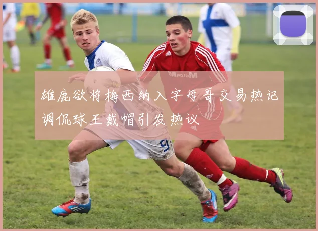 雄鹿欲将梅西纳入字母哥交易热记调侃球王戴帽引发热议