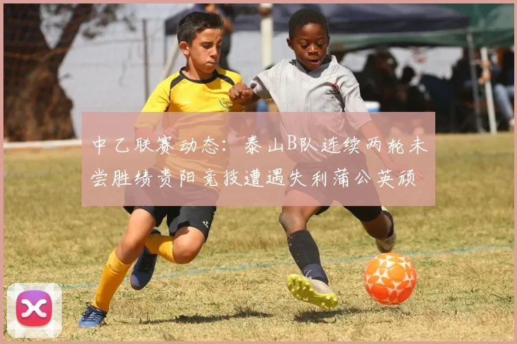 中乙联赛动态：泰山B队连续两轮未尝胜绩贵阳竞技遭遇失利蒲公英顽强战平