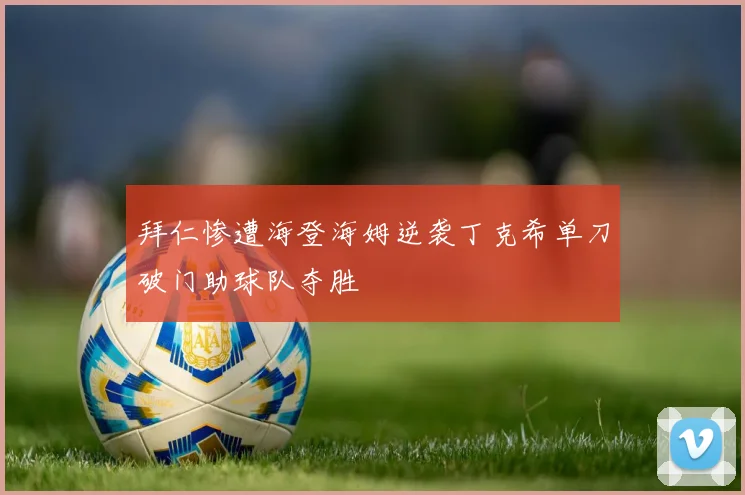 拜仁惨遭海登海姆逆袭丁克希单刀破门助球队夺胜